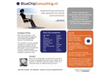 BLUE CHIP CONSULTING