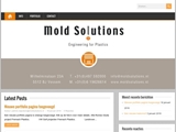 MOLD SOLUTIONS