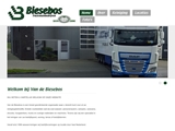 BIESEBOS CLEANING SERVICES