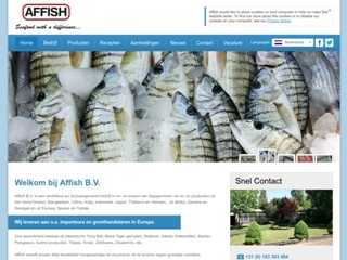 AFFISH BV