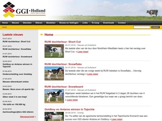 GGI-HOLLAND