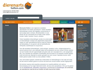 DIERENARTSHOLTEN.COM