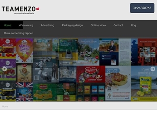 TEAMENZO