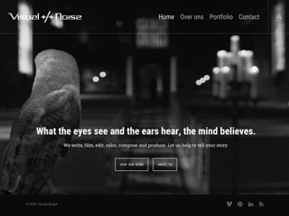 VISUAL NOISE