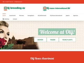 OLIJ ROZEN