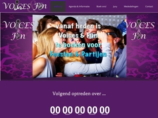 VOICES & FUN KARAOKE & TALENTENJACHT DELFT / DEN HAAG