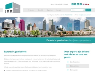 IBS CONSULTANTS