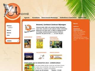 AMANNE SALSA DANSSCHOOL