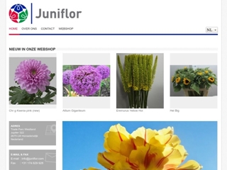 JUNIFLOR PLANTS BV