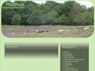 ROOTHUIS ADVICE & CONSULTANCY