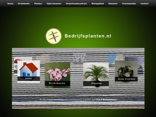 BLOEMENSERVICE FURORE