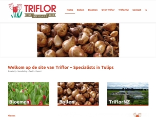 TRIFLOR BV