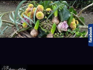 VERON CORIEN BLOEM EN ATELIER