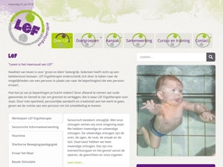 LEF ERGOTHERAPIE