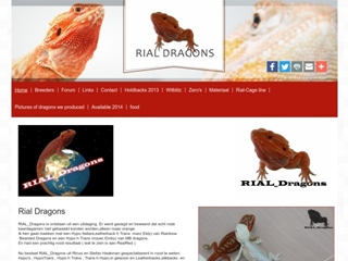 RIAL DRAGONS