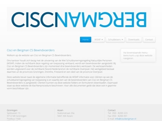 CISCI EN BERGMAN C.S. BEWINDVOERDERS