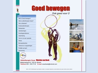 BEEK M VAN