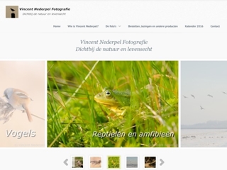 VINCENT NEDERPEL FOTOGRAFIE
