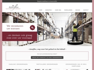 ASSUFLEX REGISTERMAKELAARS IN ASSURANTIEN