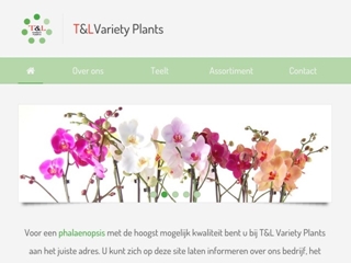 T & L VARIETY PLANTS BV