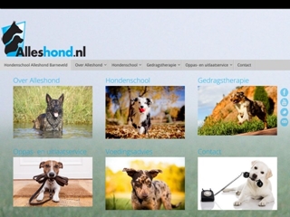 ALLESHOND.NL