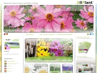 GOOTJES-ALLPLANT BV