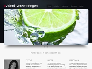 EVIDENT VERZEKERINGEN