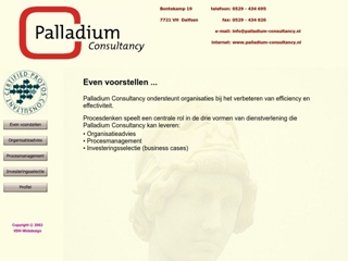 PALLADIUM CONSULTANCY