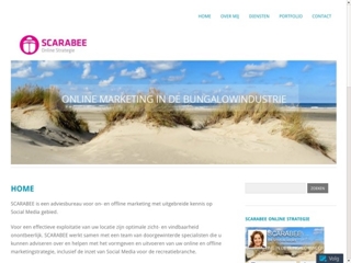 SCARABEE ONLINE STRATEGIE