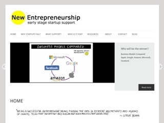 NEW ENTREPRENEURSHIP