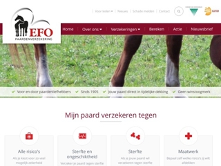 EFO PAARDENVERZEKERING