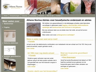 ATHENE NOCTUA ADVIES
