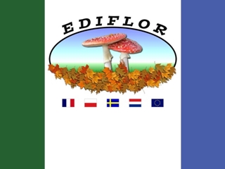 EDIFLOR