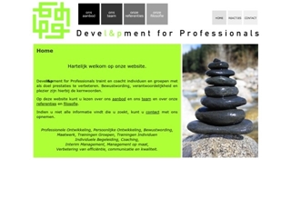 DEVEL & PMENT FOR PROFESSIONALS