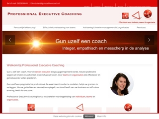 PROFESSIONAL EXECUTIVE COACHING