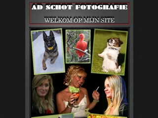 AD SCHOT FOTOGRAFIE