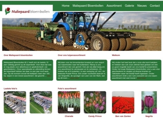 MALIEPAARD BLOEMBOLLEN BV