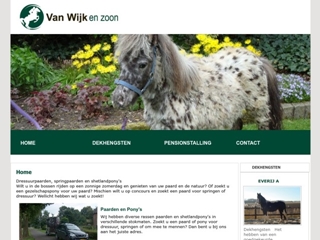 PONY'S A VAN WIJK
