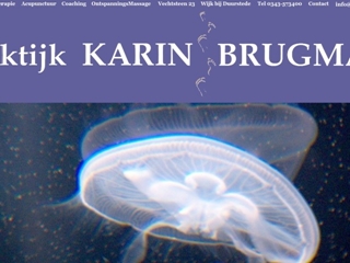 FYSIOTHERAPIE EN ACUPUNCTUUR KARIN BRUGMAN