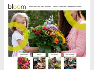 BLOOM BV
