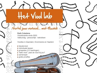 ZAANS VIOOLLAB