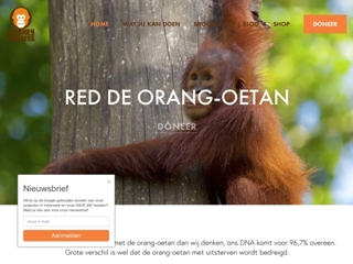 MONKEY BUSINESS STICHTING