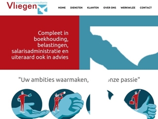 VLIEGEN ACCOUNTANTS & CONSULTANTS BV