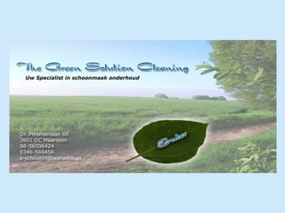 GREEN SOLUTION CLEANING THE