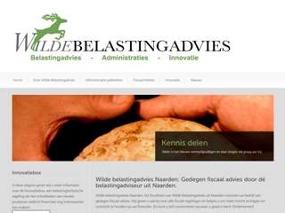 WILDE BELASTINGADVIES
