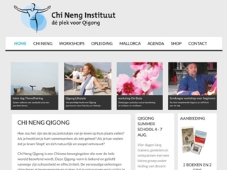 CHI NENG BV