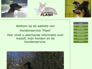 FLASH HONDENSERVICE
