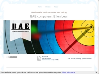 BAE COMPUTERS EN REPARATIE