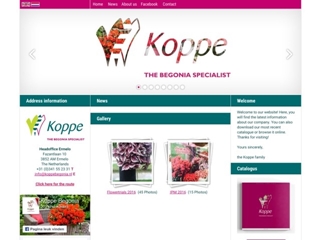 KOPPE BV M