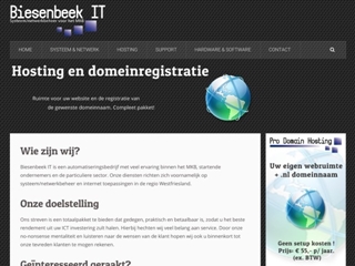 BIESENBEEK IT